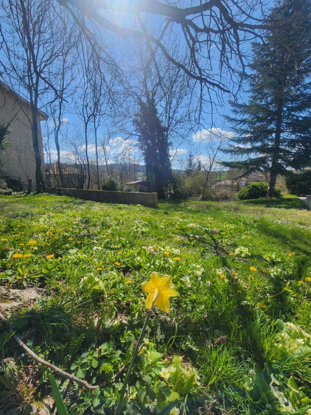 Spring_202504